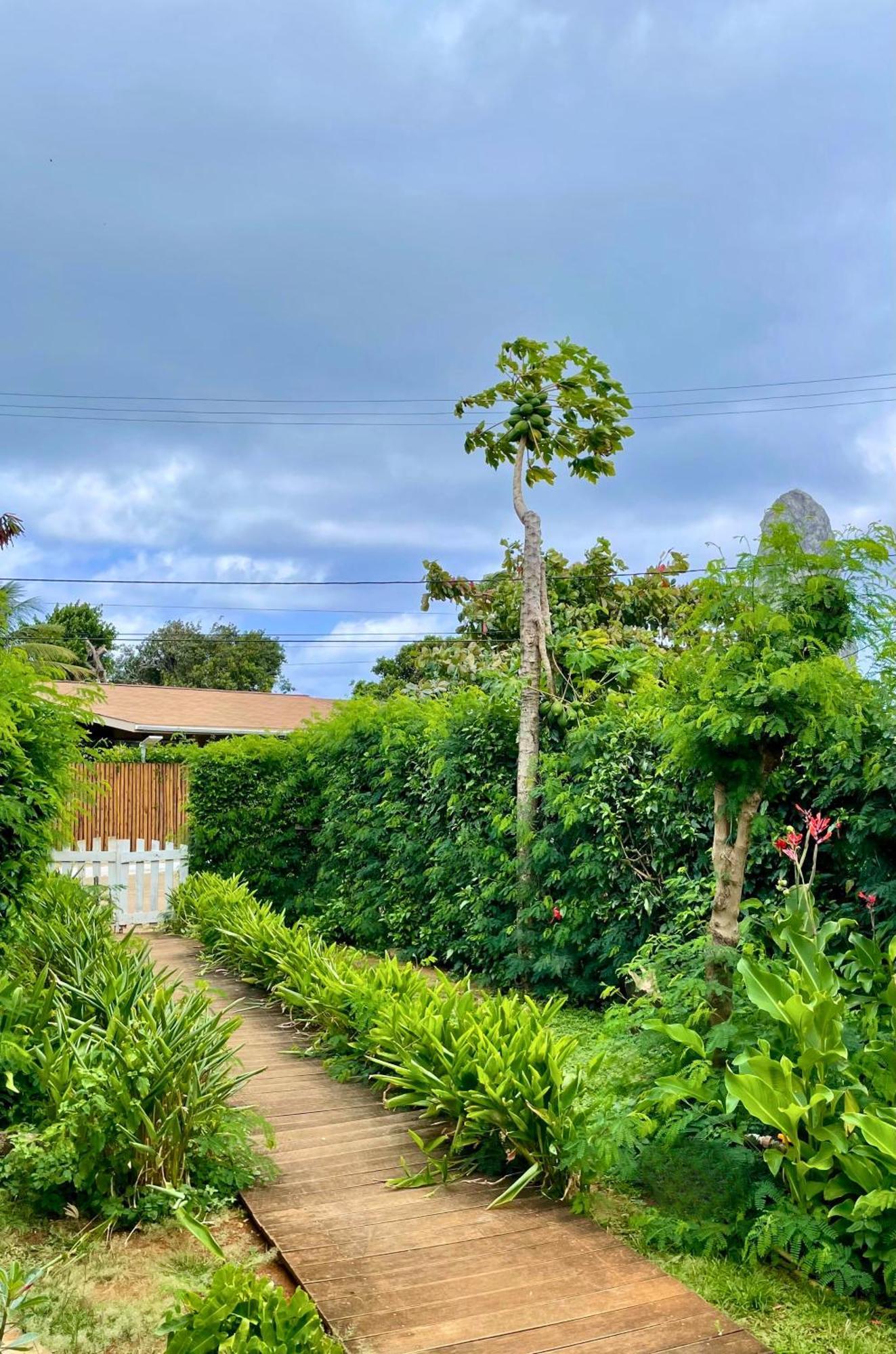 Casa Do Anjo Hotel Fernando de Noronha Exterior foto
